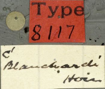 Media type: image;   Entomology 8117 Aspect: labels